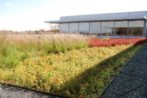 Janelia Farm Research Campus, Green Roof Garden